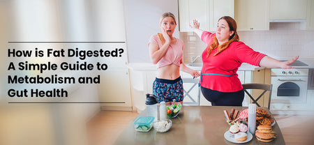 Gut Health | Understand fat digestion, role of digestive enzymes, and how gut supplements help | Healthyr U