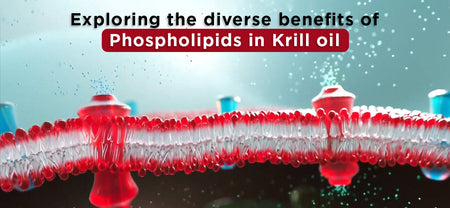 The image depicts Phospholipids in Krill oil and exploring its diverse benefits | Benefits of krill oil