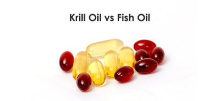 The image shows krill oil capsules and fish oil capsules to know which is better for your health