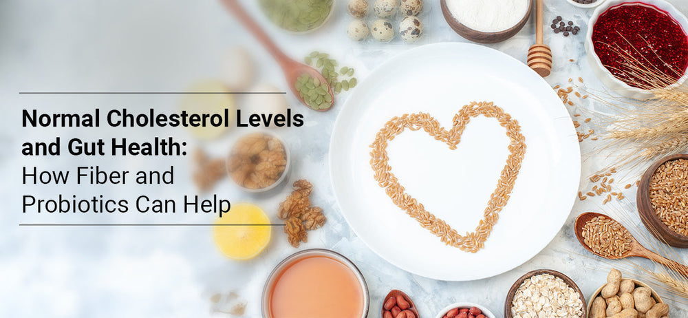 Supplements for gut health and inflammation | Healthyr U