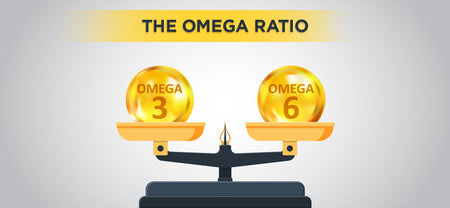A weighing scale has omega 3 and omega 6 on either side balancing the ratio between them | The Omega Ratio