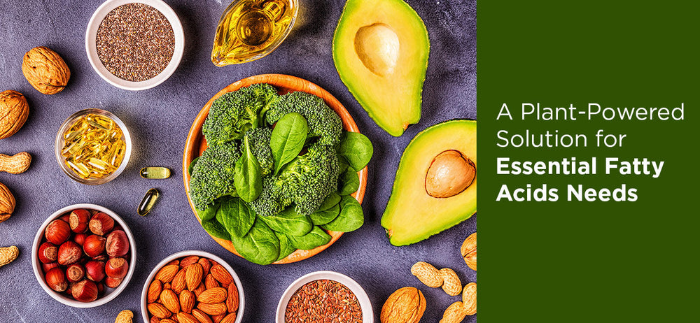 The image depicts some of the plant-based omega 3 food sources that are rich in essential fatty acids and helps manage overall health