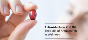 Antioxidants in Krill Oil: The Role of Astaxanthin in Wellness