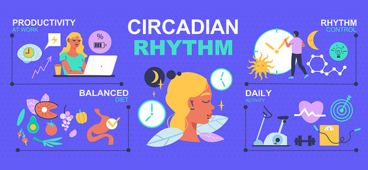 Circadian Rhythm: What It Is, How It Works, And More | Restful Sleep