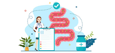 A healthy gut is shown with a doctor showing the benefits of digestive enzyme supplements to help maintain digestive health.