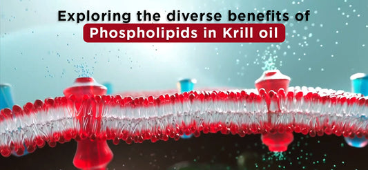 Exploring the diverse benefits of Phospholipids in Krill oil