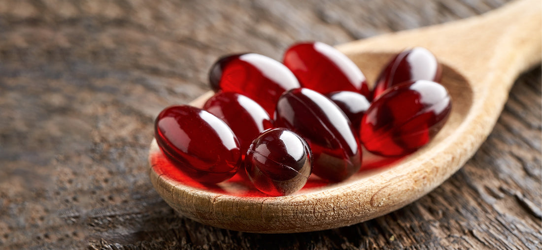 Krill Oil-A Comprehensive Guide | Supports Liver and Heart Health