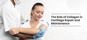 The Role of Collagen in Cartilage Repair and Maintenance