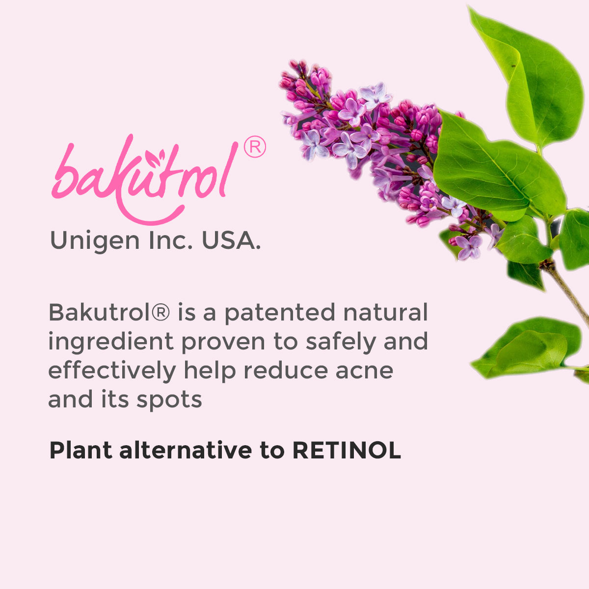 Healthyr-U Anti-Acne & Hyperpigmentation Cream about Bakutrol